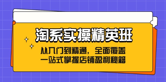 淘系实操精英班：从入门到精通，全面覆盖，一站式掌握店铺盈利秘籍-网创论坛