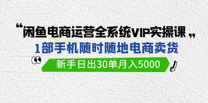 (9547期)闲鱼电商运营全系统VIP实战课，1部手机随时随地卖货，新手日出30单月入5000-网创论坛