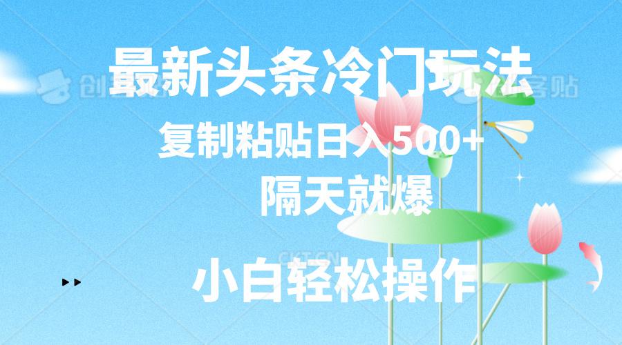 最新头条冷门玩法，隔天就爆，复制粘贴日入500+-网创论坛