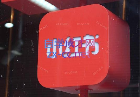 伊伊·红薯【高级班】运营课-网创论坛