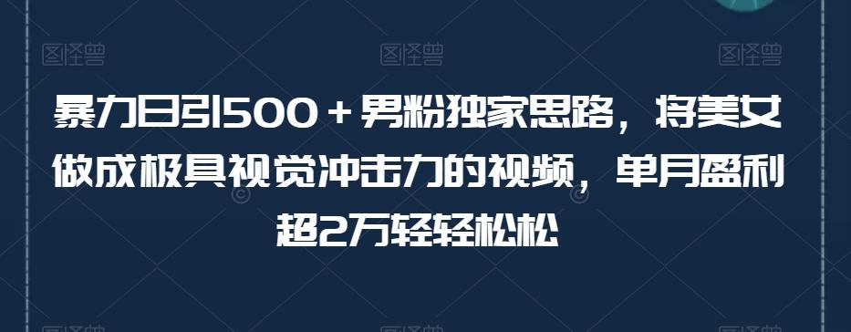 暴力日引500＋男粉独家思路，将美女做成极具视觉冲击力的视频，单月盈利超2万轻轻松松-网创论坛