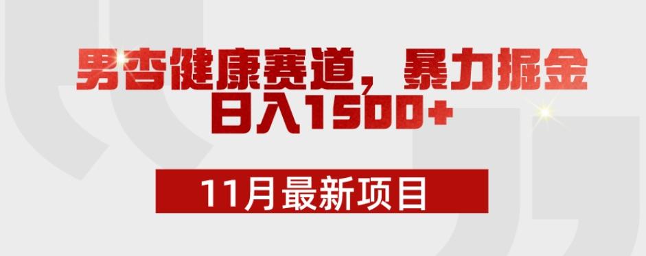 11月最新项目,男杏健康赛道,暴力掘金,日入1500+