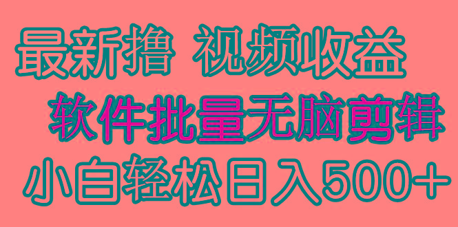 (9569期)发视频撸收益，软件无脑批量剪辑，第一天发第二天就有钱-网创论坛