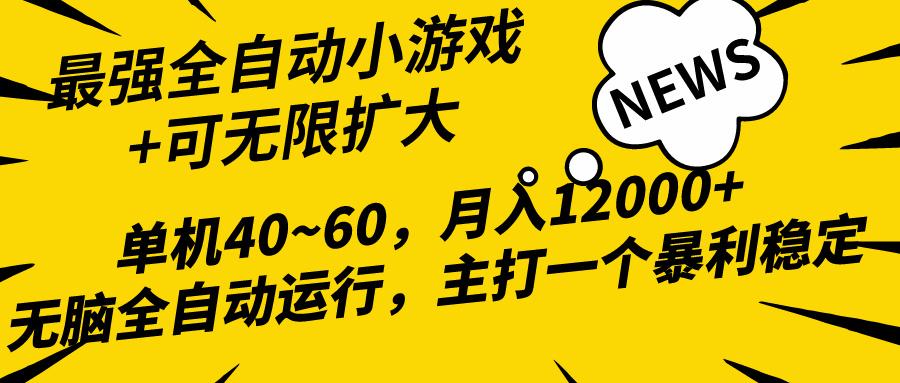 (10046期)2024最新全网独家小游戏全自动，单机40~60,稳定躺赚，小白都能月入过万-网创论坛
