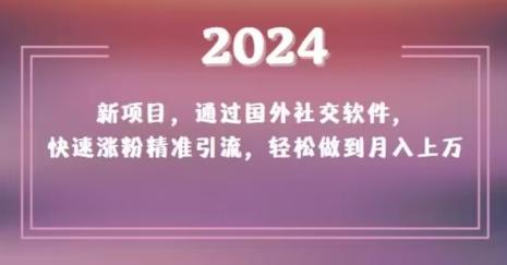 2024新项目，通过国外社交软件，快速涨粉精准引流，轻松做到月入上万【揭秘】-网创论坛