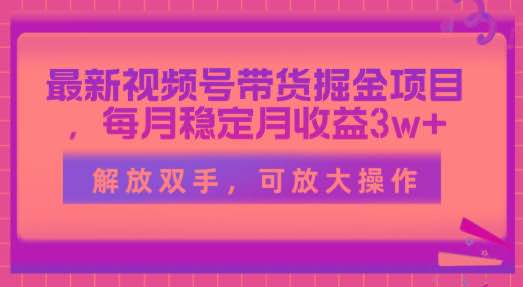 最新视频号带货掘金项目，每月稳定月收益3w+，解放双手，可放大操作-网创论坛