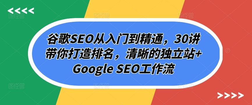 谷歌SEO从入门到精通，30讲带你打造排名，清晰的独立站+Google SEO工作流-网创论坛