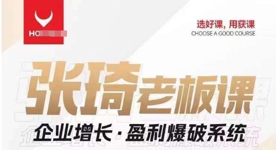 【组合课】张琦张琦老板企业增长·盈利爆破系统（直播专享）-网创论坛