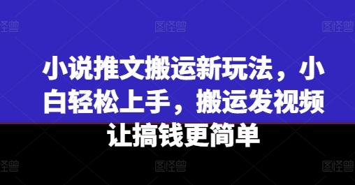 小说推文搬运新玩法，小白轻松上手，搬运发视频让搞钱更简单-网创论坛