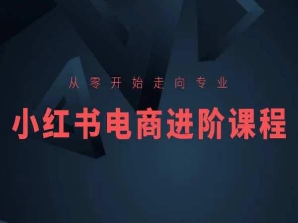 从零开始走向专业，小红书电商进阶课程-网创论坛