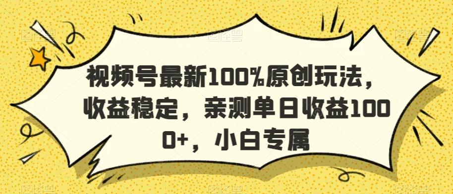 视频号最新100%原创玩法，收益稳定，亲测单日收益1000+，小白专属【揭秘】-网创论坛