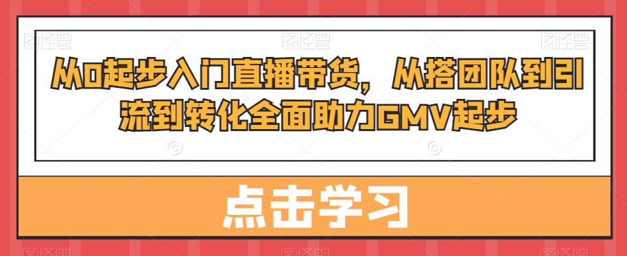 从0起步入门直播带货，​从搭团队到引流到转化全面助力GMV起步-网创论坛