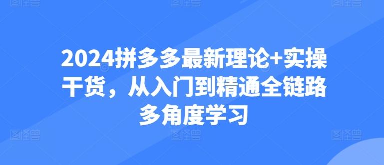 2024拼多多最新理论+实操干货，从入门到精通全链路多角度学习-网创论坛