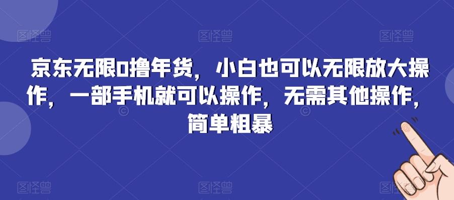 京东无限0撸年货，小白也可以无限放大操作，一部手机就可以操作，无需其他操作，简单粗暴-网创论坛