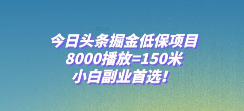 今日头条掘金低保项目，8000播放=150米，小白副业首选【揭秘】-网创论坛