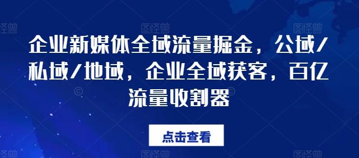 企业新媒体全域流量掘金，公域/私域/地域，企业全域获客，百亿流量收割器-网创论坛
