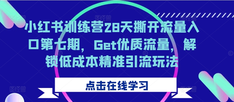 小红书训练营28天撕开流量入口第七期，Get优质流量，解锁低成本精准引流玩法-网创论坛