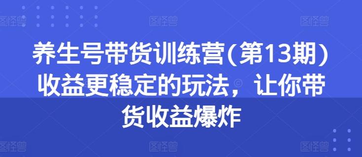 养生号带货训练营(第13期)收益更稳定的玩法，让你带货收益爆炸-网创论坛