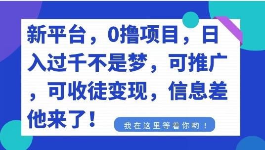 不要再花冤枉钱了，0撸项目，每天坚持，稳定1000+-网创论坛