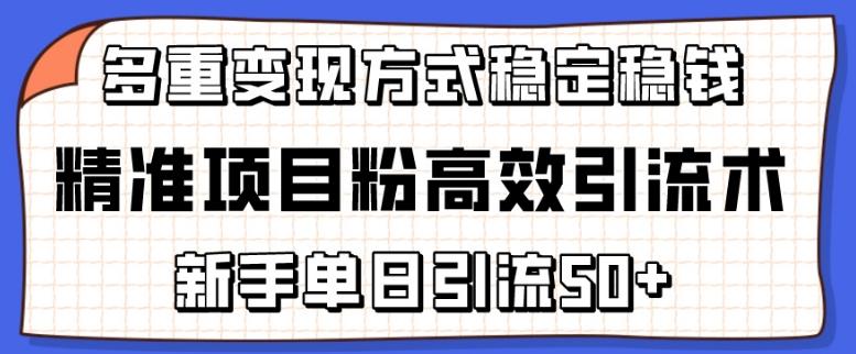 精准项目粉高效引流术，新手单日引流50+，多重变现方式稳定赚钱【揭秘】-网创论坛