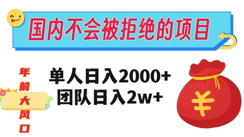 在国内不怕被拒绝的项目，单人日入2000，团队日入20000+【揭秘】-网创论坛