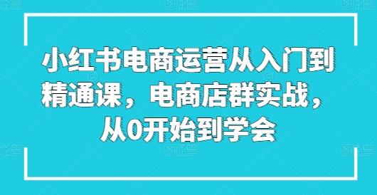 小红书电商运营从入门到精通课，电商店群实战，从0开始到学会-网创论坛