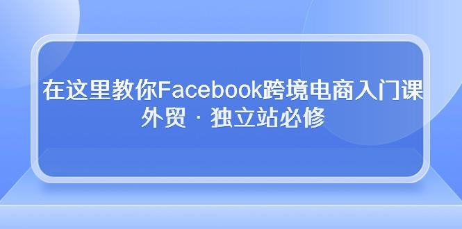 在这里教你Facebook跨境电商入门课，外贸·独立站必修-网创论坛