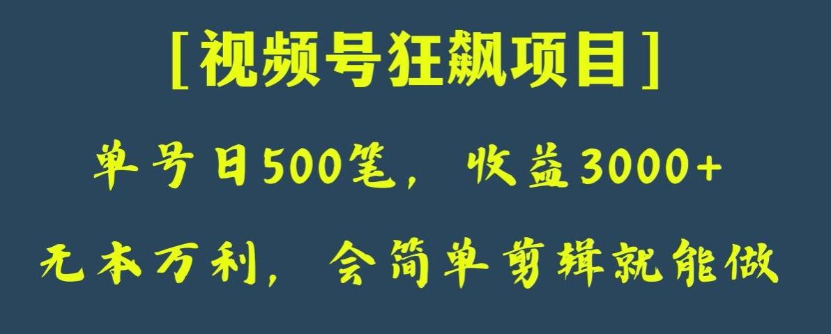 日收款500笔，纯利润3000+，视频号狂飙项目，会简单剪辑就能做【揭秘】-网创论坛