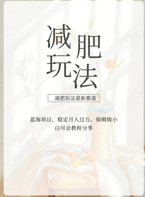 减肥流量主新玩法，轻松月入1W，可矩阵操作收入翻倍-网创论坛