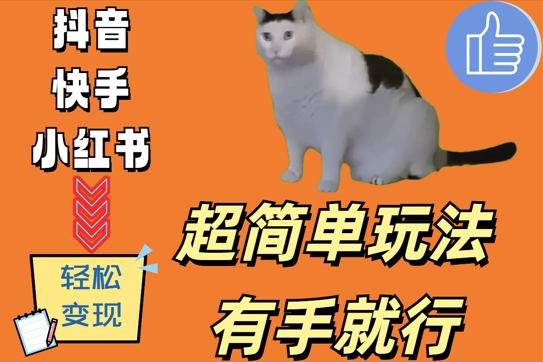 超简单玩法，有手就行，靠猫咪视频日入500+【揭秘】-网创论坛