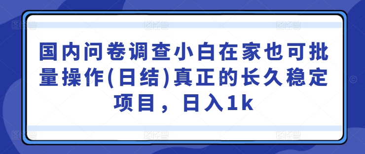 国内问卷调查小白在家也可批量操作(日结)真正的长久稳定项目，日入1k【揭秘】-网创论坛