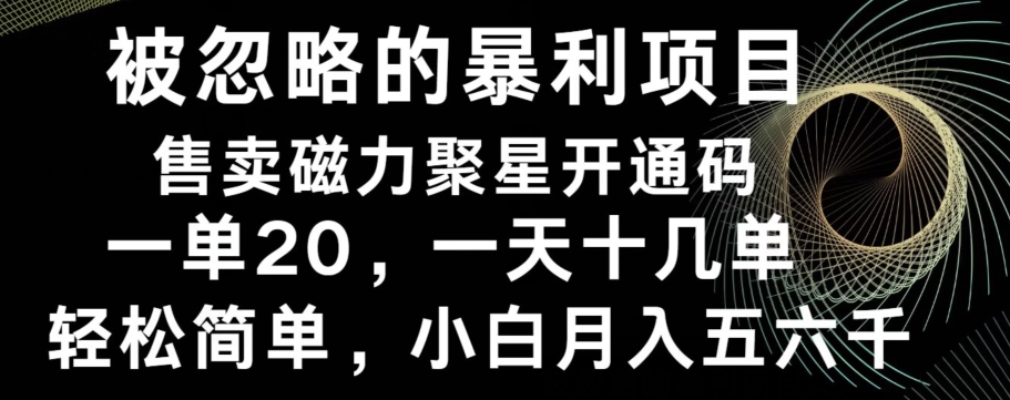 被忽略的暴利项目！售卖磁力聚星开通码，一单20，一天十几单，轻松月入五六千-网创论坛