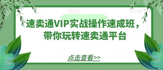 速卖通VIP实战操作速成班，带你玩转速卖通平台-网创论坛