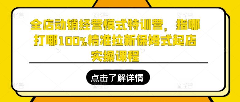 全店动销经营模式特训营，指哪打哪100%精准拉新保姆式起店实操课程-网创论坛