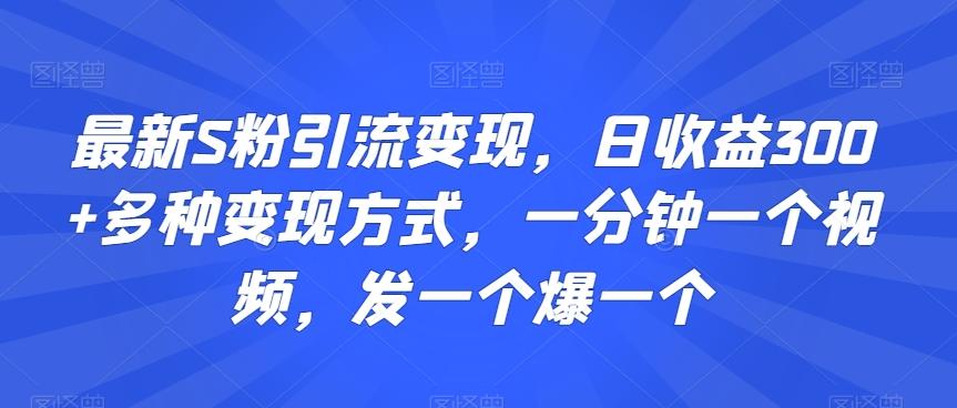 最新S粉引流变现，日收益300+多种变现方式，一分钟一个视频，发一个爆一个【揭秘】-网创论坛