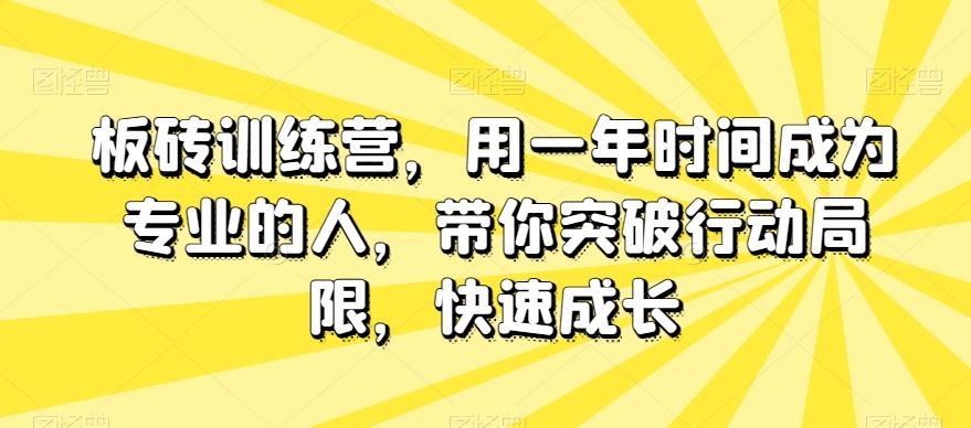 板砖训练营，用一年时间成为专业的人，带你突破行动局限，快速成长-网创论坛