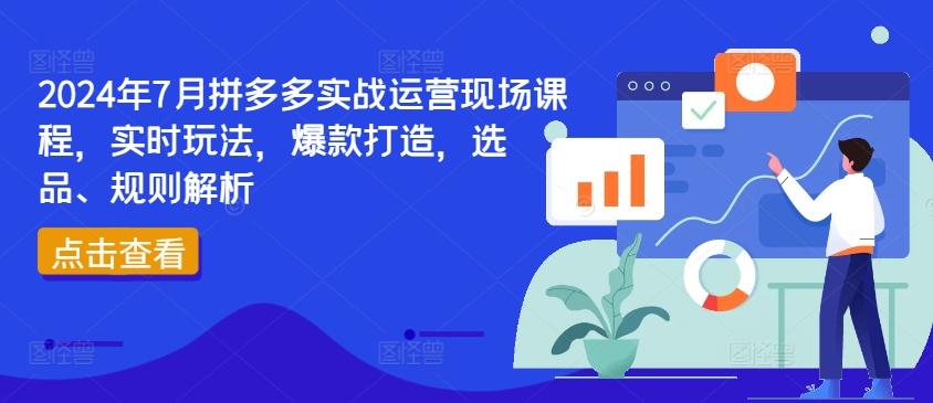 2024年7月拼多多实战运营现场课程，实时玩法，爆款打造，选品、规则解析-网创论坛