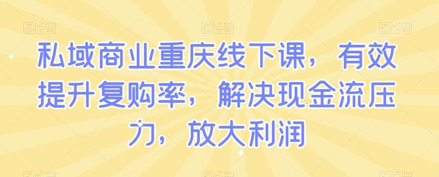 私域商业重庆线下课，有效提升复购率，解决现金流压力，放大利润-网创论坛