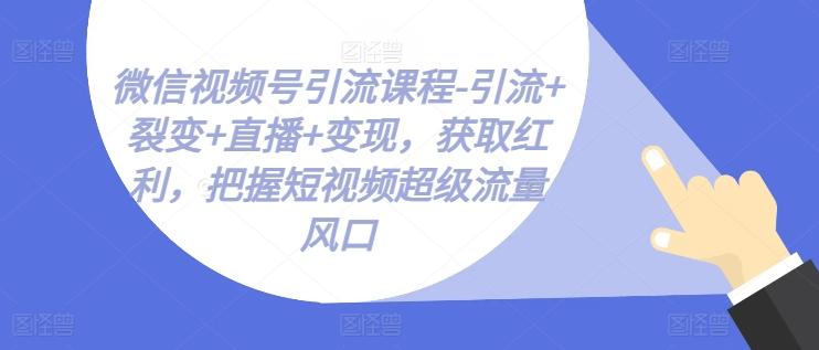 微信视频号引流课程-引流+裂变+直播+变现，获取红利，把握短视频超级流量风口-网创论坛