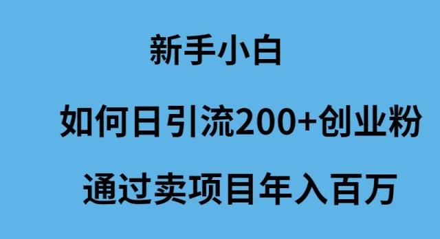 (9668期)新手小白如何日引流200+创业粉通过卖项目年入百万-网创论坛