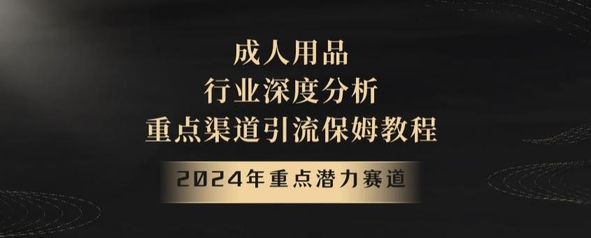 2024年重点潜力赛道，成人用品行业深度分析，重点渠道引流保姆教程【揭秘】-网创论坛