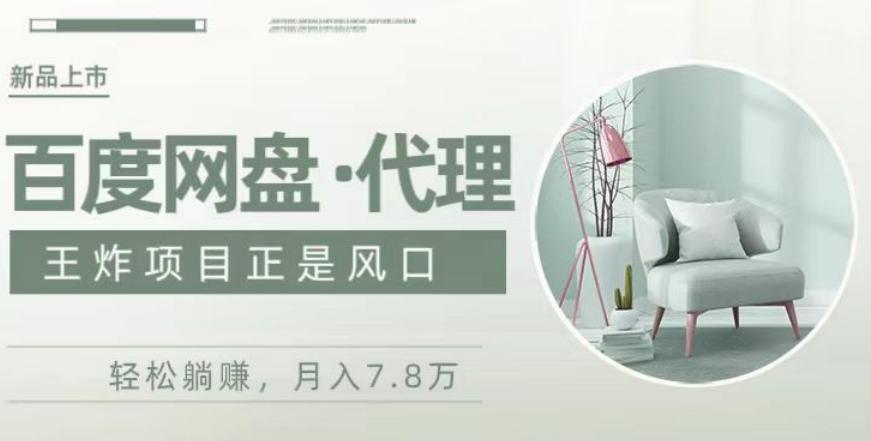 度盘代理，月入7w保姆级全方位教程-网创论坛