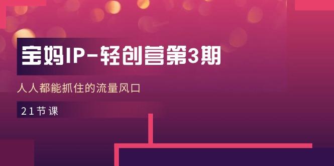 宝妈IP-轻创营第3期，人人都能抓住的流量风口(21节课-网创论坛