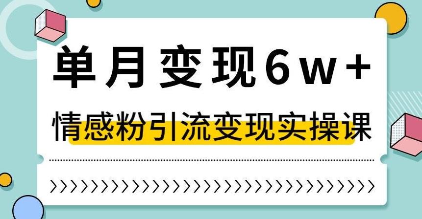 单月变现6W+，抖音情感粉引流变现实操课，小白可做，轻松上手，独家赛道【揭秘】-网创论坛