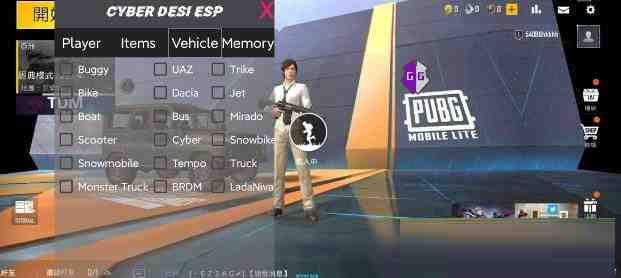 PUBG轻量老外裸奔绘制+自瞄 支持ROOT和框架 里面有全局离线-网创论坛