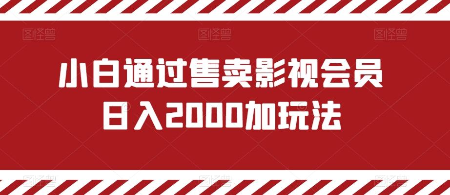 小白通过售卖影视会员日入2000加玩法-网创论坛