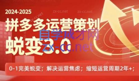 大力老师·2024拼多多运营策略蜕变3.0-网创论坛