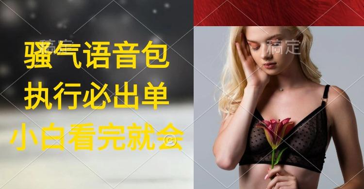 (9589期)执行就出单，日入2000+，超火骚气语音包，小白看完课程就能马上实操-网创论坛