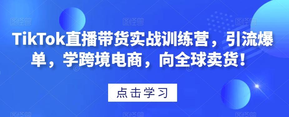 TikTok直播带货实战训练营，引流爆单，学跨境电商，向全球卖货！-网创论坛