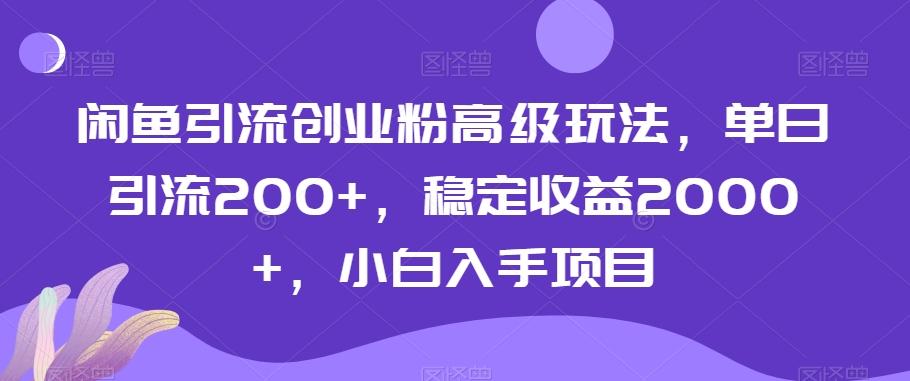 闲鱼引流创业粉高级玩法，单日引流200+，稳定收益2000+，小白入手项目-网创论坛